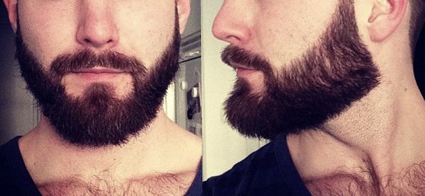 Как отрастить бороду - всё, чему я научился, отложив бритву темпы роста