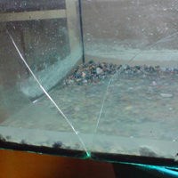 Что делать, если аквариум треснул или лопнул: инструкция быстрому решению
