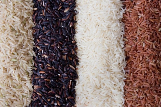 Какой нужен рис для настоящего плова – краткая инструкция