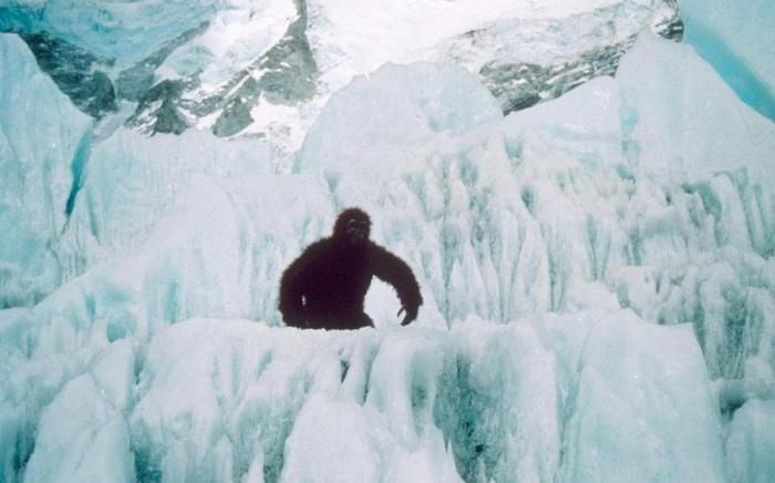 Гималайский йети: действительно ли снежный человек обитает в самой высокой горной системе мира? (13 фото)